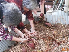  �~�j�^����A�R�X���X�����A���ق�A���a������A�����`���