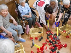  �~�j�čՂ�A����c�q�}���c�q���A���a������A�Ԃǂ����