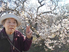  �ߕ��A���a������A�Ă�����A�~����