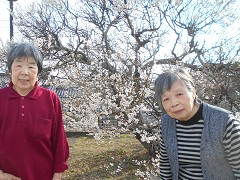  �ߕ��A���a������A�Ă�����A�~����